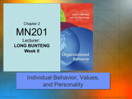 Individual Behaviour, Values, and Personality