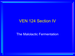 VEN 124 Section IV