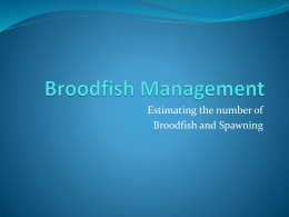 Broodfish Management - Alabama Cooperative Extension System