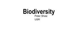 Biodiversity - Demon Internet