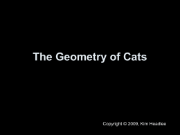 The Geometry of Cats - Headlee's Math Mansion
