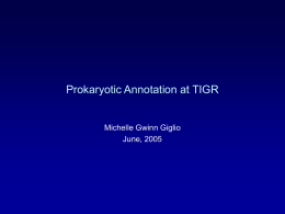 Prokaryotic Annotation at TIGR