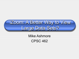 iZoom: A Better Way to View Large Data Sets?