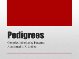 Pedigrees - Los Gatos High School