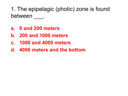 PowerPoint Presentation - 1. The epipelagic zone is found