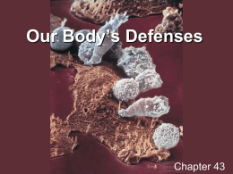 Our Body’s Defenses - Bio-Guru