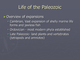 Life of the Paleozoic