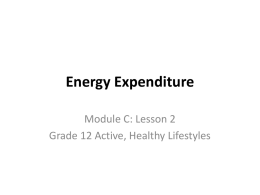 Energy Expenditure