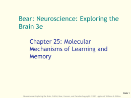 Ch 25 - Molecular Mechanisms of Learning and Memory