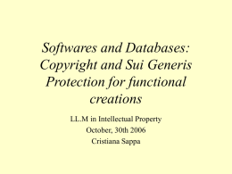 Software and Database: copyright Protection for functional