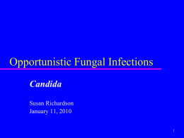 Candida - Infectious Diseases