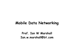 Mobile Data Networking