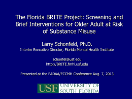 BRITE - Florida Alcohol and Drug Abuse Association