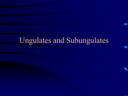 Ungulates and Subungulates - Southeast Missouri State