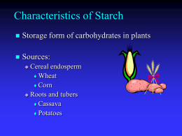 Starch Containing Foods