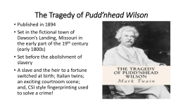 Pudd’nhead Wilson: Literary Terms and Devices