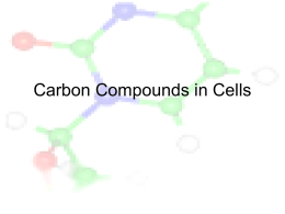 Carbon Compounds in Cells - Page County Public Schools