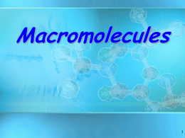 Macromolecules