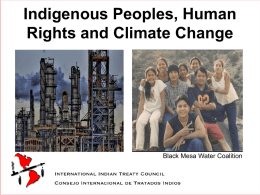 Indigenous Peoples Advocacy for Rights & Culturally