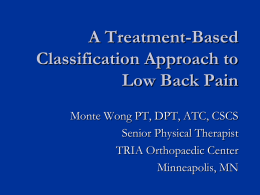 A Treatment-Based Classification Approach to Low Back Pain