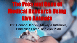 The Pros and Cons of Medical Research Using Live Animals