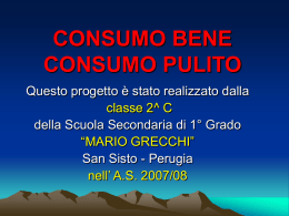 Greenhouse effect - Scuola Media "Mario Grecchi"