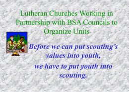 Associations Working in Partnership with BSA Councils to