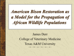 American Bison Restoration as a Model for the Propagation