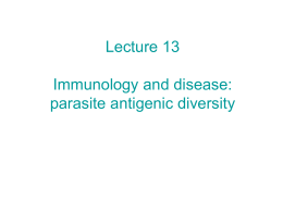 Oct. 11 Lecture 13: Parasite antigenic diversity