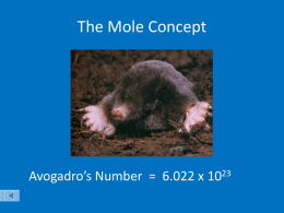 The Mole Concept - Broadneck High School