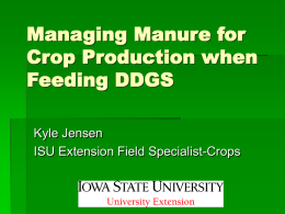 Managing Manure for Crop Production when Feeding DDGS