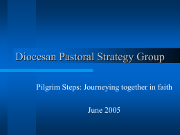 PowerPoint Presentation - Diocesan Pastoral Strategy Group