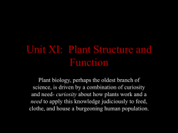 Unit XI: Plant Structure and Function