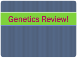 Genetics Reviewx - Glen Ellyn School District 41