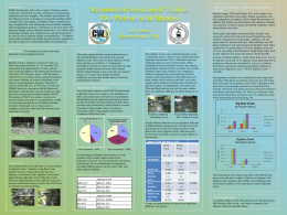 Microhabitat Selection and Genetic Analysis of Trout in