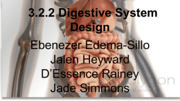 3.2.2 Digestive System Design