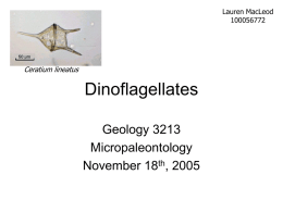 Dinoflagellates - Acadia University