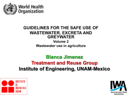 Blanca Jimenez Treatment and Reuse Group Institute of