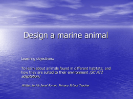 Design a marine animal