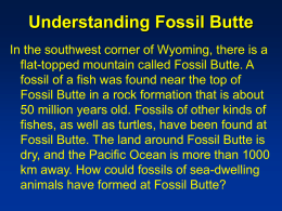 Prentice Hall Biology