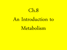 An Introduction to Metabolism
