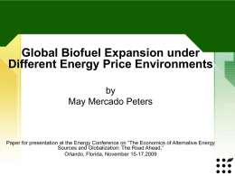 Presentation, Nov 09 Energy Confernce, Orlando, FL