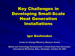 Key Challenges in Developing Small Scale Heat Generation