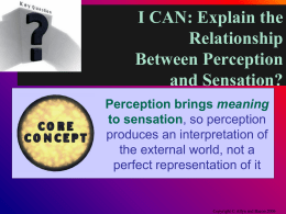 What is the Relationship Between Perception and Sensation?