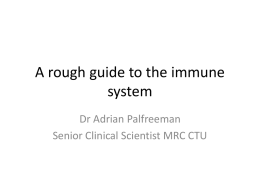 A rough guide to the immune system - UK