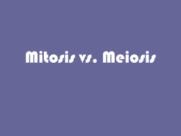 Mitosis vs. Meiosis - Kaneland School District