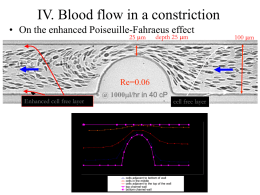 IV. Blood flow in a constriction