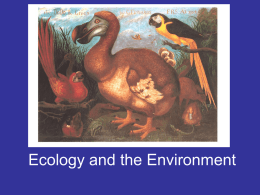 Ecology and the Environment - Mrs. Nicolai's Science Class