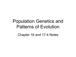 Population Genetics and Patterns of Evolution
