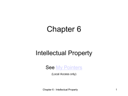 Chapter 6 - Intellectual Property Rights